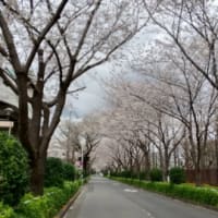 糠床作り