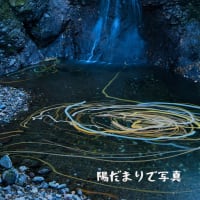 時間よ止まれ