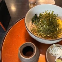 下田　手打ち蕎麦茶寮 須田　おろしそば
