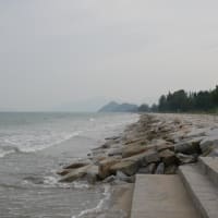 Pic for today 