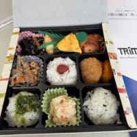 健康の鍵は「水」にある