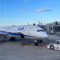  2ヶ月間の日本滞在を終えて　