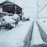 朝寝します。。。