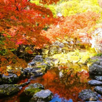 「庭園の紅葉」／大山崎山荘（京都）