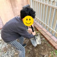 ご近所さんパワー