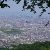 輝くモミジとツツジ満開＆大阪平野の眺め・水吞地蔵へ