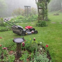 Open garden began