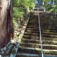 2025年7月1～3日箱根三島身延旅行