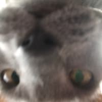 自撮り
