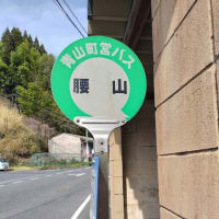 お伊勢参りと奈良へ行ってきました