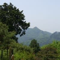 2011,5,21関東　新緑の登山(ハイキング)3　奥多摩・日ノ出山