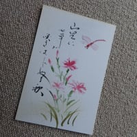 撫子