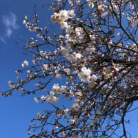 無事に🌾の種まき終わりました