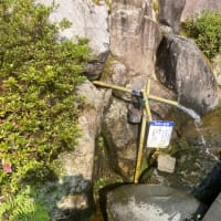 湧き水を飲んで