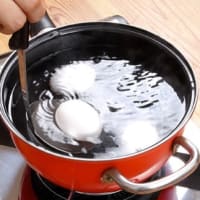 卵のゆくえ⁉️