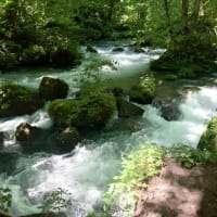 青森ツアー　奥入瀬渓流その2