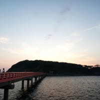 7月の水辺の風景