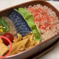 魚は茹でると良いらしい・風邪で発熱・お弁当の作り置き