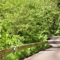 付知川河畔の 旧飛騨街道ウォーク