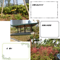 4月２日　復習