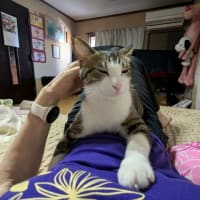 クリンへの想いは尽きなくて・・・296
