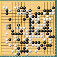 第３７期名人戦第６局～羽根直樹の碁も天ぷら蕎麦も復活～
