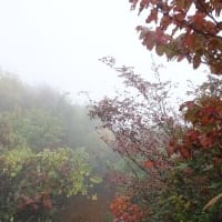 越後駒ヶ岳～紅葉と滝雲～