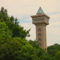 相模原公園散策