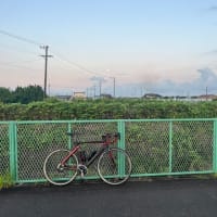 朝の散歩