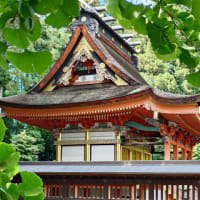 夏越しの大祓（おおはらえ）