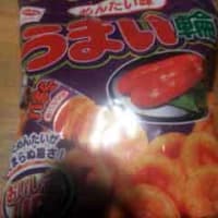 １月３０日（土）