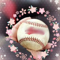 強風の1日