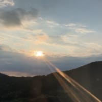 天橋立の景色を満喫・息子の身体の硬さに呆然