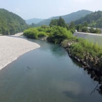 本日の海部川