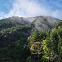 五十肩（六十過ぎてるけど）
