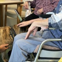 犬と小学生とお年寄り