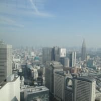 パークハイアット東京（新宿）その２