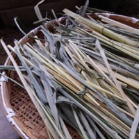 マコモ茶…