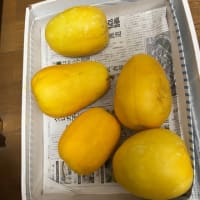 36℃を超える‼️
