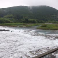 本日の海部川