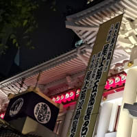 だってさ…