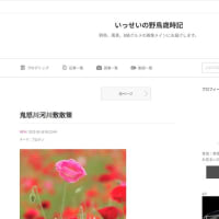 ブログ閉鎖に伴う引っ越しなどのお知らせ