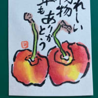 日本一、山形産さくらんほ