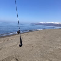 海  ジグミノー　