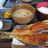 昼食に飯田橋の焼き魚の「越後屋亀丸」を再訪した。