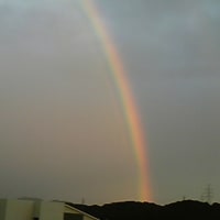 虹