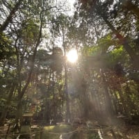 令和七年一月　三六九神示