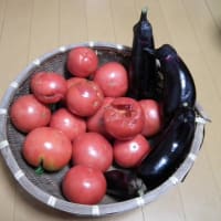 2013.8.2保津