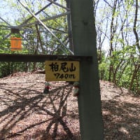 甲州高尾山❸