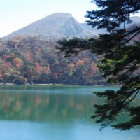えびの高原の紅葉